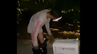 385 naked porn videos